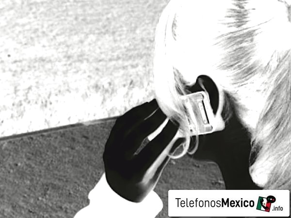 55 84 442 0032 - Posible llamadas de spam por teléfono del número tlf de Ciudad de México
