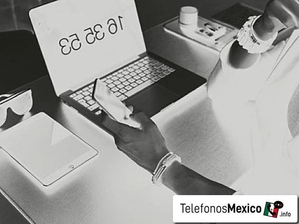 5573919219 - Posibilidad de spam telefónico del número de Ciudad de México