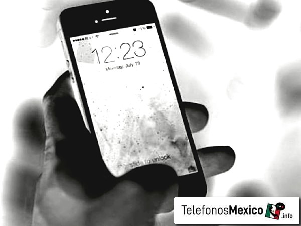 55 90 002 6337 - Posible llamada spam a través del teléfono del número tlf de Ciudad de México