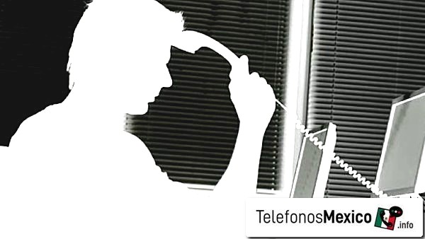5588548627 - Información de posible llamada spam por teléfono del nº de teléfono de Ciudad de México en México