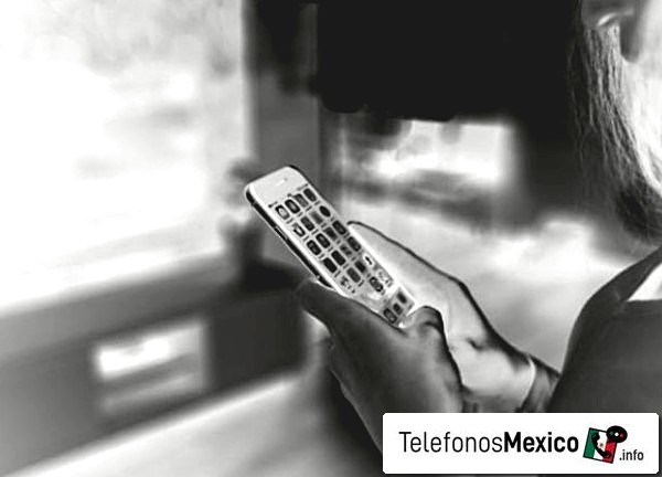55 87 772 5759 - Posible llamadas de spam por teléfono del de Ciudad de México en México