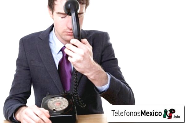 5510981889 - Información de posible llamada spam a través del teléfono del número telefónico de Ciudad de México en México