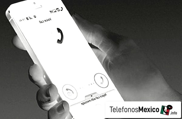 5548661903 - Posible spam por teléfono del teléfono número de Ciudad de México
