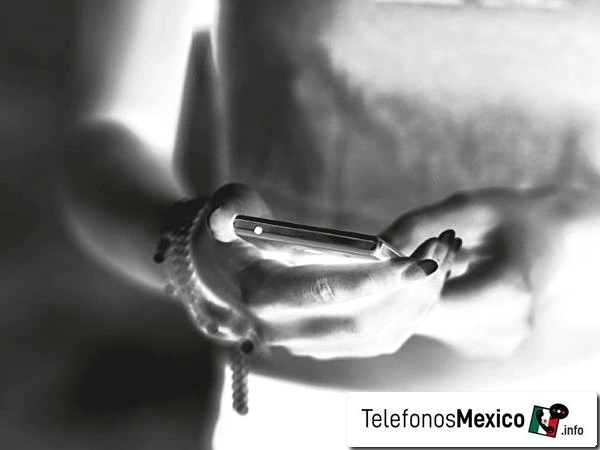55 06 669 4951 - Posibilidad de spam telefónico del de Ciudad de México en México